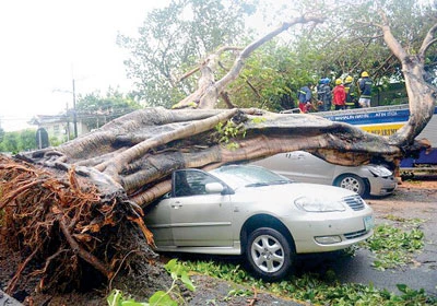 Philippines: Ít nhất 10 người chết vì bão Rammasun