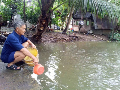 Thương binh làm giàu từ mô hình VAC