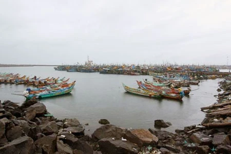 Ấn Độ: Gấp rút triển khai cứu hộ 40 tàu cá mất tích