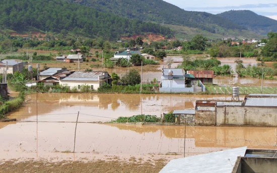 Lâm Đồng: Mưa lũ lịch sử, trên 200 ha rau, hoa và hàng trăm nhà dân bị ngập