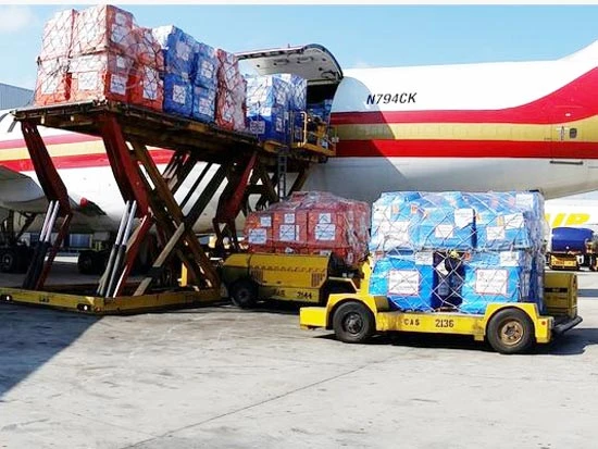 100 tấn thiết bị y tế đối phó dịch Ebola chuyển đến Tây Phi