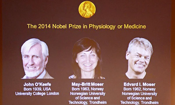 Khám phá hệ thống định vị trong não đoạt giải Nobel Y học 2014