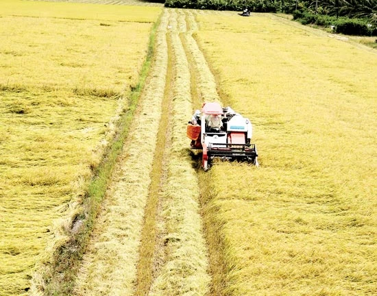 Đồng bằng sông Cửu Long khó phát triển nếu cứ “tự bơi”