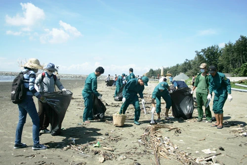 Đoàn viên trồng rừng phòng hộ và dọn rác bãi biển Cần Giờ
