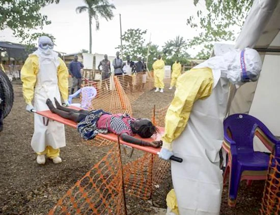 WHO: Dịch Ebola vẫn còn báo động khẩn cấp