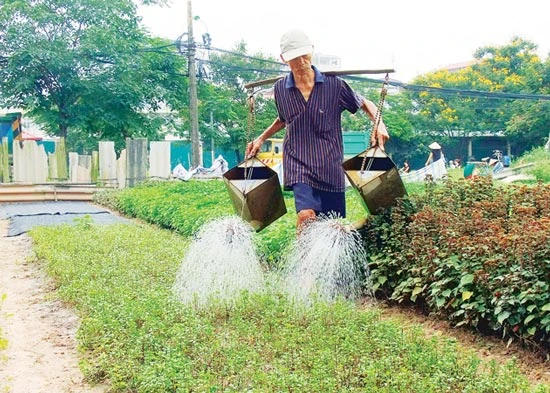 Lại chi “ngàn tỷ” cứu rau an toàn