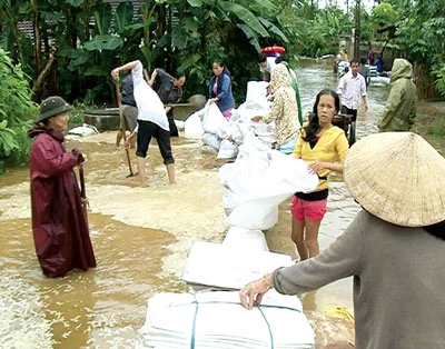 Mưa lũ Bắc miền Trung: Nguy cơ vỡ hàng loạt tuyến đê