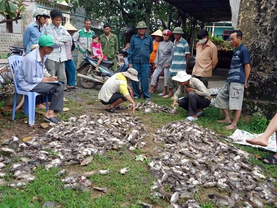 Bắc Trung bộ lo thiếu nước sản xuất