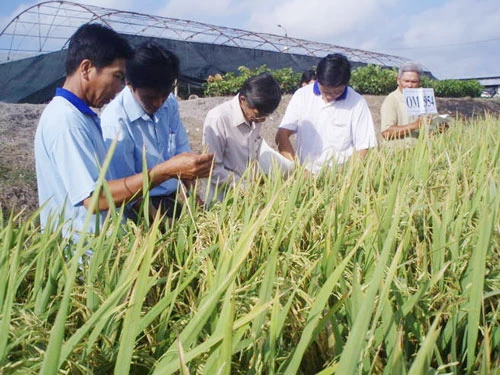 ĐBSCL: Khoa học công nghệ phải đi từ chân đất