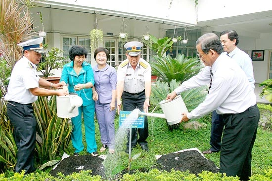 Cây bàng Trường Sa giữa lòng thành phố