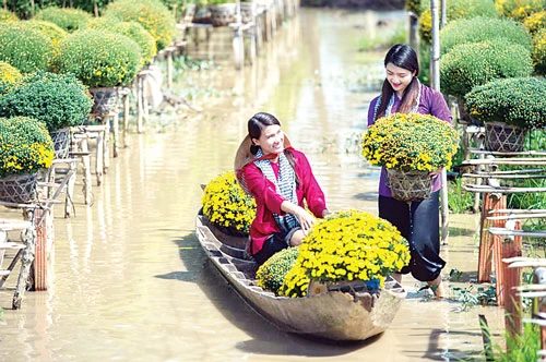 Tân Quy Đông - đường cọ rực rỡ của bức họa làng quê