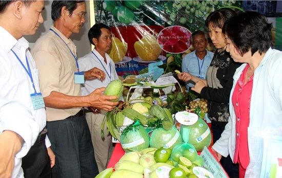 TPHCM và các tỉnh ĐBSCL tăng cường điều phối hàng hóa, ổn định giá cả thị trường