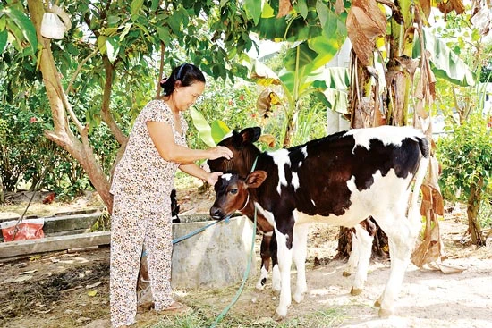 Rà soát và hoàn thiện hệ thống chính sách giảm nghèo: Tăng cho vay, giảm cho không