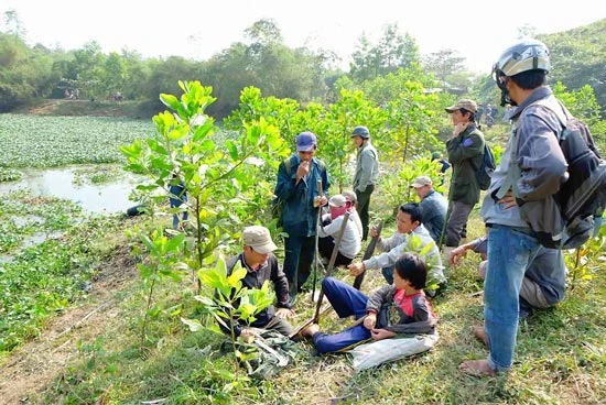 Đổ xô săn rùa