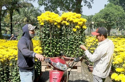 Chợ hoa tết đã sẵn sàng