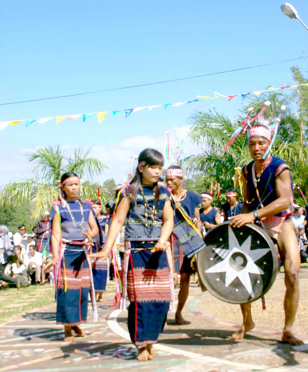 Sắc xuân Tây Nguyên