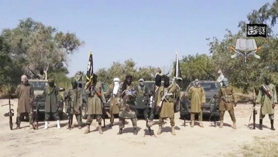 Niger tiêu diệt 109 phiến quân Boko Haram