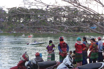 Đà Lạt, Nha Trang, Phan Thiết nhộn nhịp khách du xuân