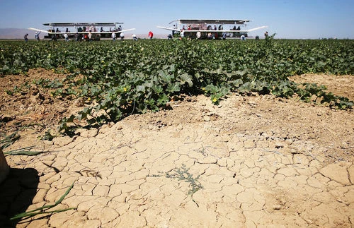 Mỹ: Hạn hán nghiêm trọng, bang California hạn chế nước tiêu dùng