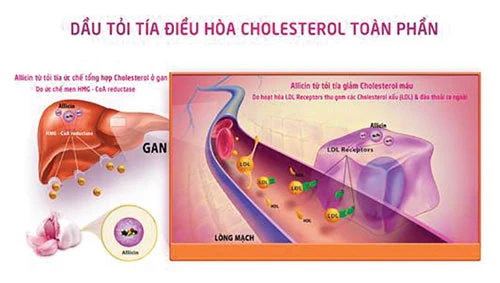 “Dược liệu vàng” giúp khỏe người đẹp dáng