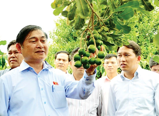 Chưa an tâm với cây “tỷ đô”