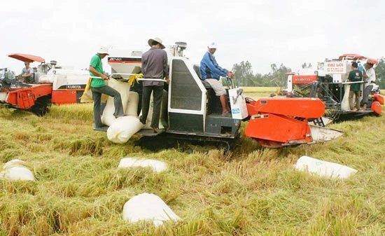 Tạm trữ lúa gạo: Nông dân vẫn chịu lép