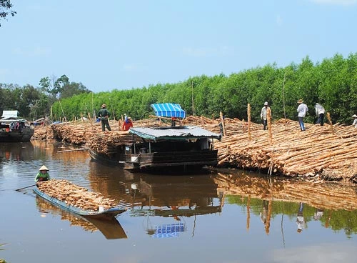 Cống đập làm khổ nông dân