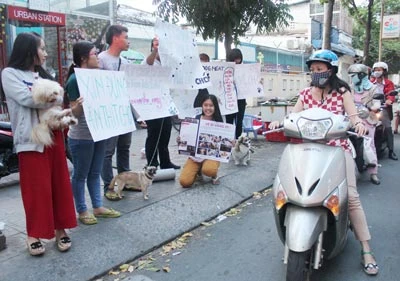 Chung tay bảo vệ chó