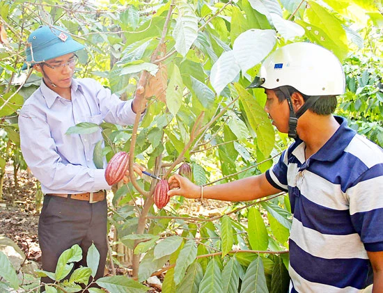 Dấu ấn cán bộ trẻ ở huyện nghèo