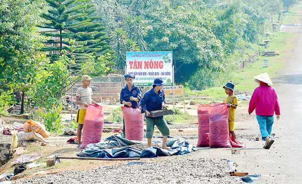 Phấn khởi với cây điều