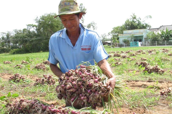 Nỗ lực tìm mô hình sản xuất mới