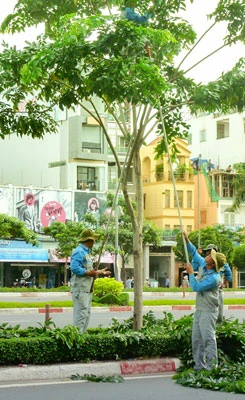 Chăm chút cho TPHCM xanh - sạch - văn minh