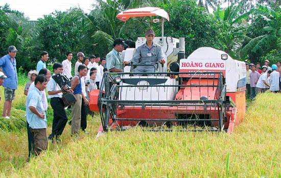 Liên kết sản xuất để tạo ra nông sản chất lượng cao