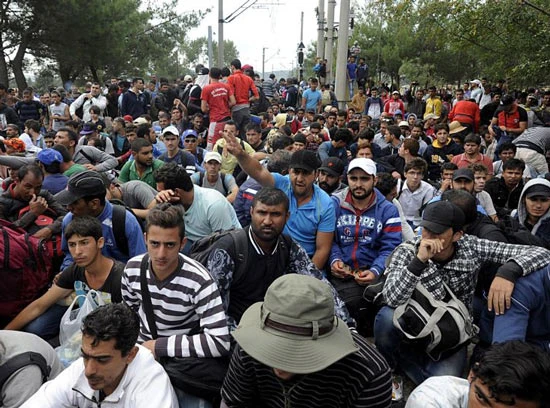 Phát hiện xác 50 người nhập cư tại biên giới Áo