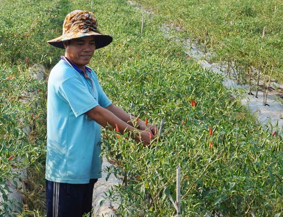 Sóc Trăng giảm nghèo nhanh và bền vững