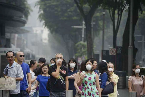 Singapore phải đóng cửa trường học vì khói bụi