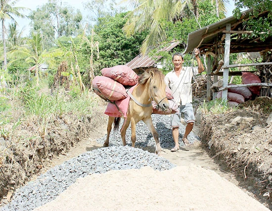 Xóm ngựa thồ dưới đèo Quán Cau