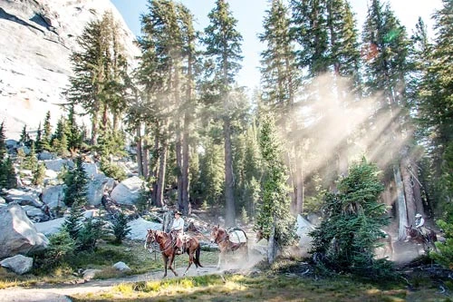 Yosemite - Điểm đến mới trong hành trình khám phá nước Mỹ