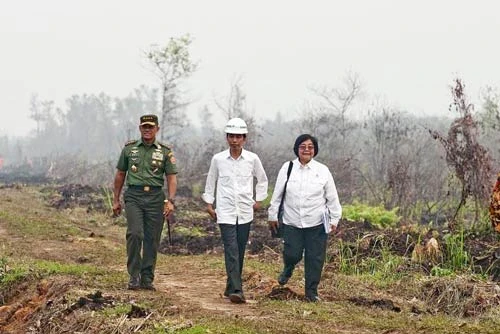 Indonesia dùng máy bay không người lái hỗ trợ dập cháy rừng