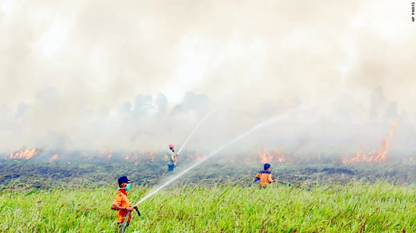 Quốc tế chung tay dập cháy rừng ở Indonesia