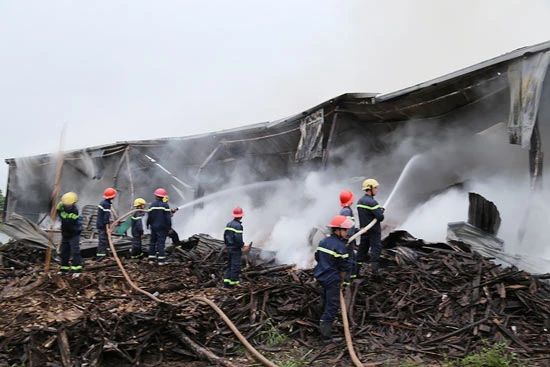 Quảng Trị: Cháy kho gỗ dăm nhà máy viên nén năng lượng Ene Power