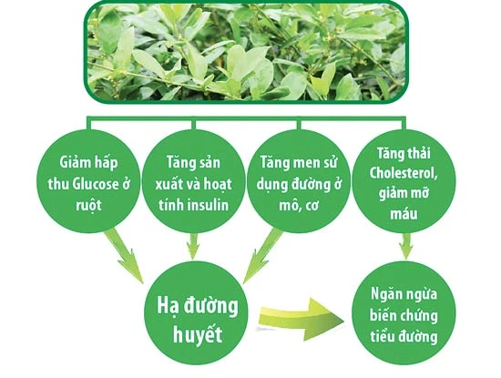 Bí quyết giảm tác dụng phụ trong điều trị tiểu đường