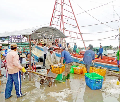 Tất bật Đông Hải