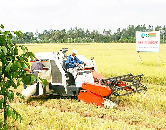 Hậu Giang: Đột phá từ nông nghiệp chất lượng cao