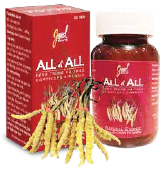 Nuôi cấy thành công đông trùng hạ thảo Cordyceps Sinensis