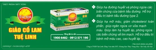 Giảo cổ lam - cây thuốc quý “giải cứu” căn bệnh thời hiện đại