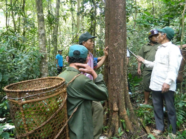 Đội kiểm lâm thôn