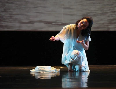 Chương trình kịch múa Việt - Hàn “800 năm hẹn ước”