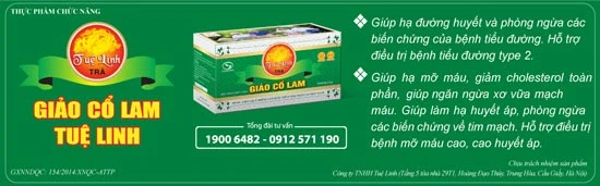 Giảo cổ lam - cây thuốc quý “giải cứu” căn bệnh thời hiện đại