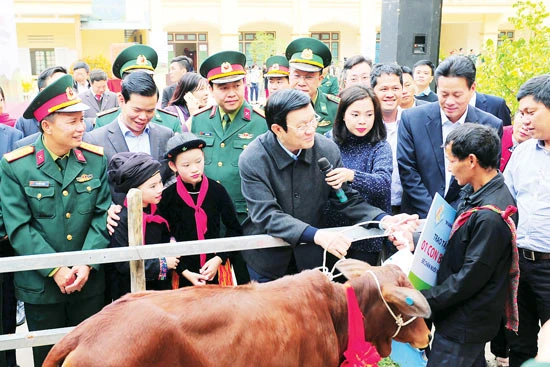 Chủ tịch nước Trương Tấn Sang trao tặng bò giống cho các hộ nghèo ở Hà Giang